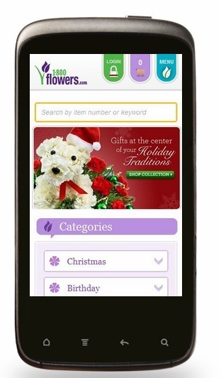 mobile website